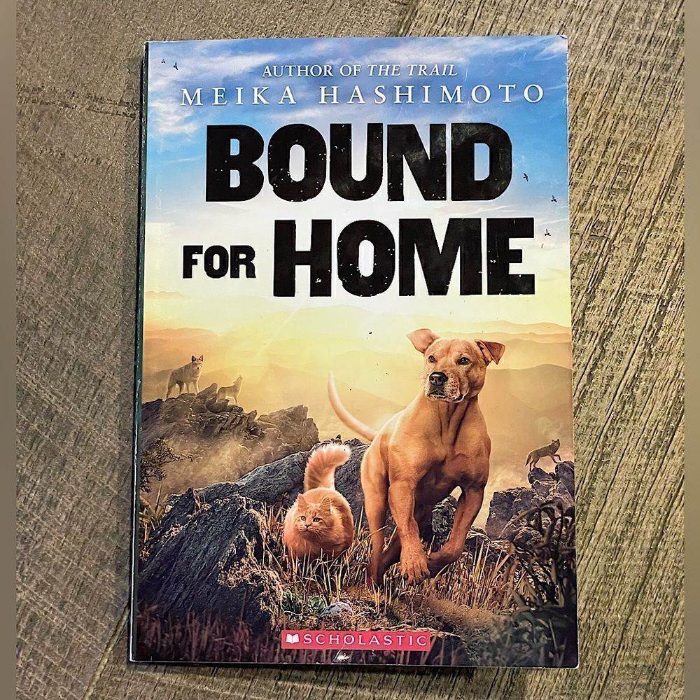 Bound For Home by Mejia Hashimoto. Young-Adult, Fiction, Chapter Book.